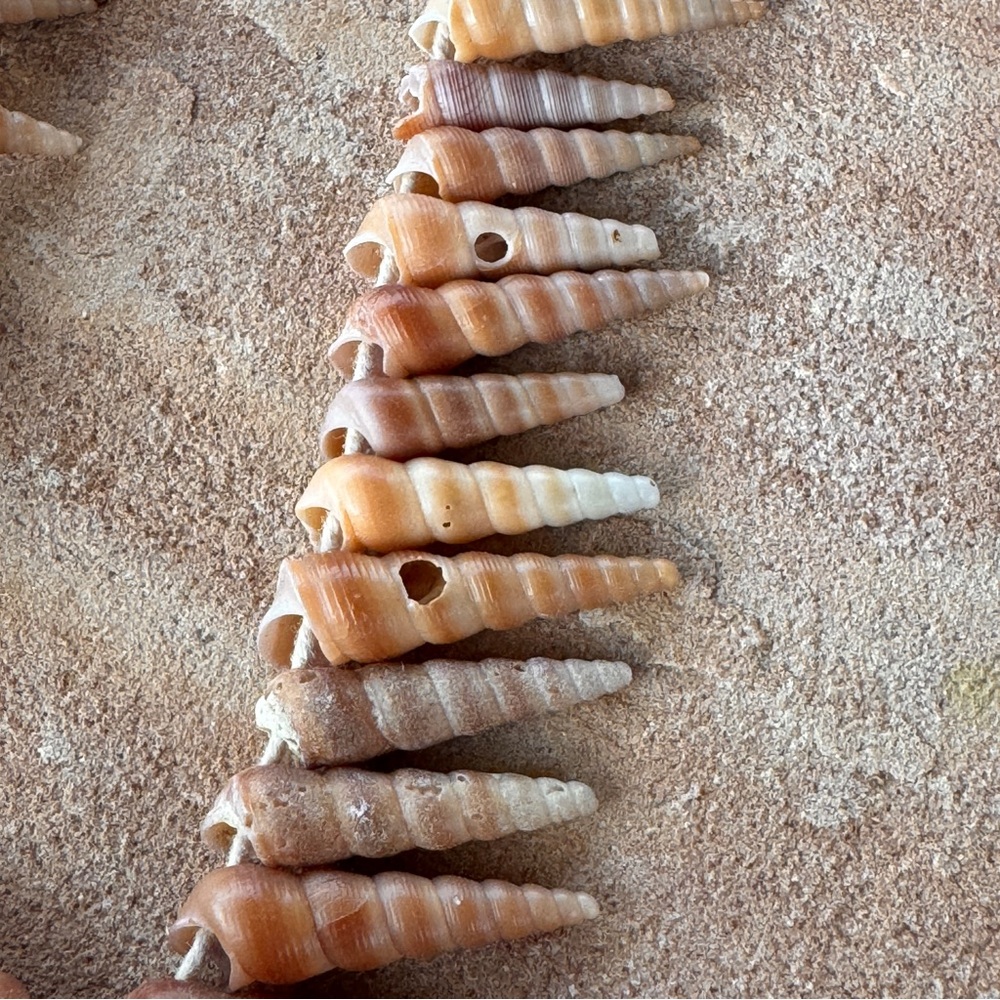 Mermaid Turritella Unicorn Horn Spiral Beachy Boho Shell Necklace Strand 48” - Picture 8 of 11